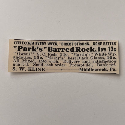 Parks Barred Rock S.W. Kline Middle Creek VA 1924 Ad AG3-S4