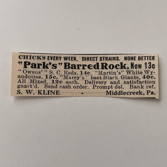 Parks Barred Rock S.W. Kline Middle Creek VA 1924 Ad AG3-S4