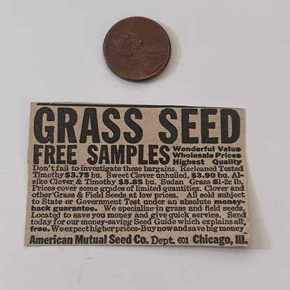 American Mutual Seed Co. Chicago IL 1931 Newspaper Ad SAG4-S13