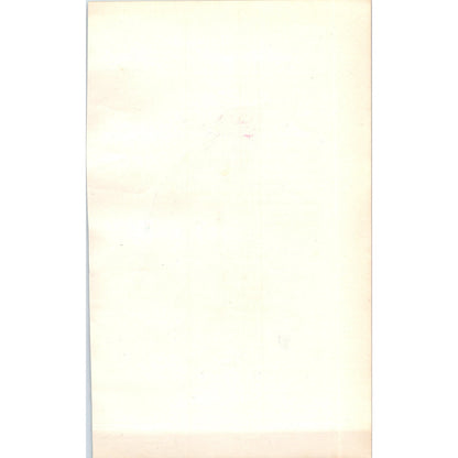 Robin Bird 1903 Original Color Engraving Plate Print AD8-B3