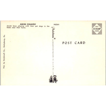 Amish Boys Playing With Their Pet Dogs Pennsylvania Dutch Country Postcard PD8