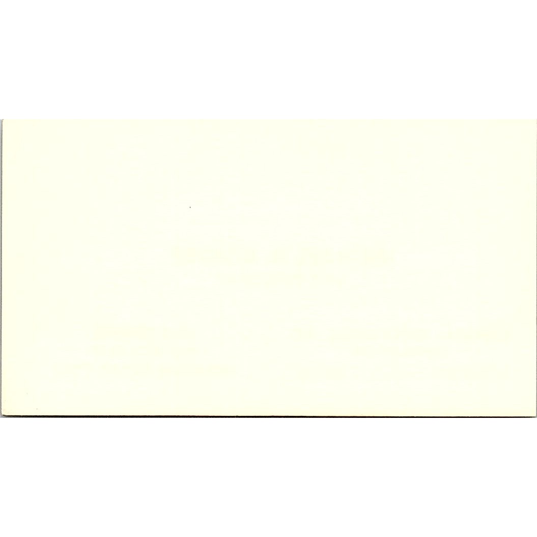 William T Leo Royston, Rayzor, Vickery & Williams Houston Business Card SC9-B4