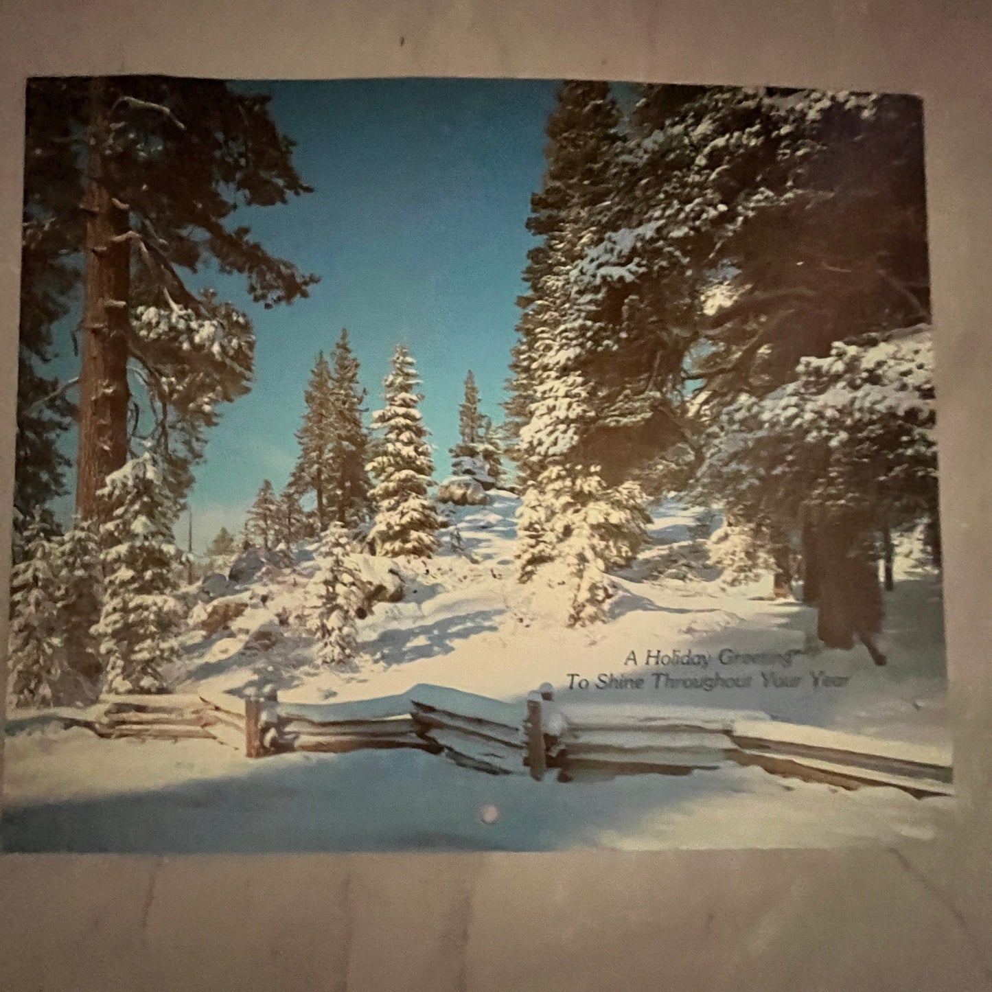 Cathedral Rock Mountain WA Winter Forest River Scene 7x8x5" Art Print V23