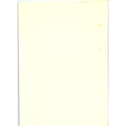 Perry Pictures Children of Charles I Van Dyck Vintage Art Print 5x7" V17