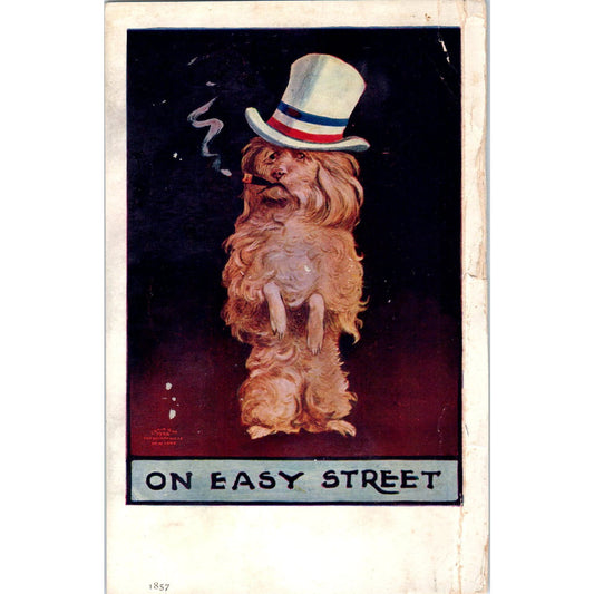 Smoking Dog Dressed as Uncle Sam On Easy Street Illustrated 1907 Postcard PD2