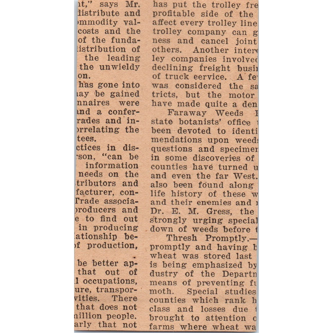 Shade For Fruit Article New Jersey 1922 Magazine Ad AF2-A5