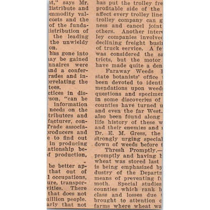 Shade For Fruit Article New Jersey 1922 Magazine Ad AF2-A5