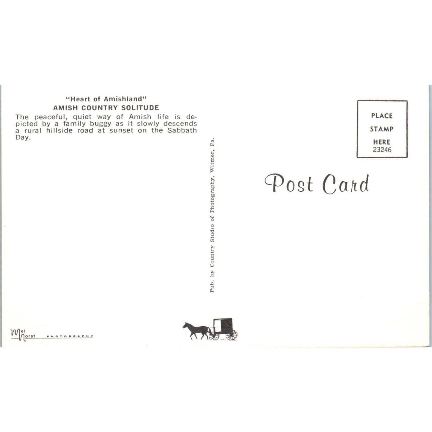 Amish Country Solitude Pennsylvania Dutch Country Postcard PD7