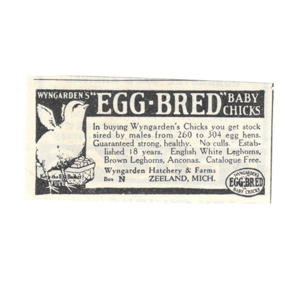 Wyngarden Hatchery & Farms Baby Chicks Zeeland Michigan 1924 Ad AG3-S3