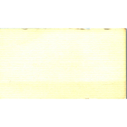 Sandy Eilers North Channel Area Chamber of Commerce Vintage Business Card SE3-B9