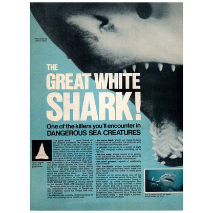 Shakespeare White Knight Antenna Style 430 Columbia SC 1977 Ad D25