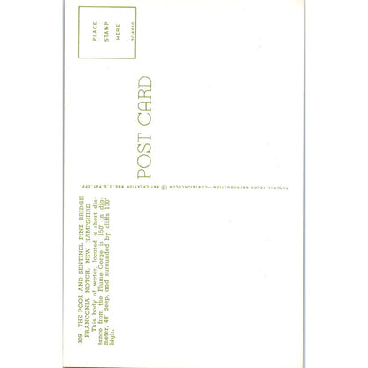 Pool & Sentinel Pine Bridge Franconia Notch NH Covered Bridge Postcard PB12