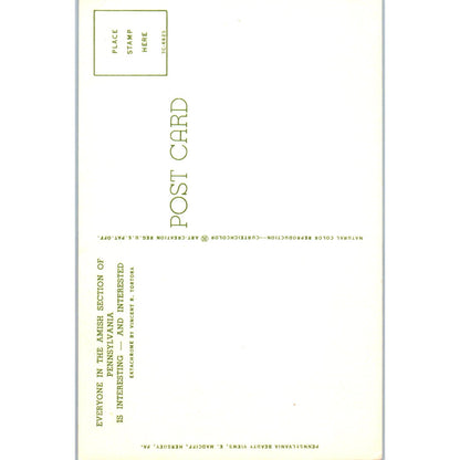 Little Amish Boy and Girl With Parents Pennsylvania Dutch Country Postcard PD7