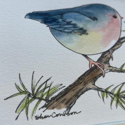 Chubby Blue Wren Bird 5x7 Matted Print Hand Watercolor, Signed Shar Coulson