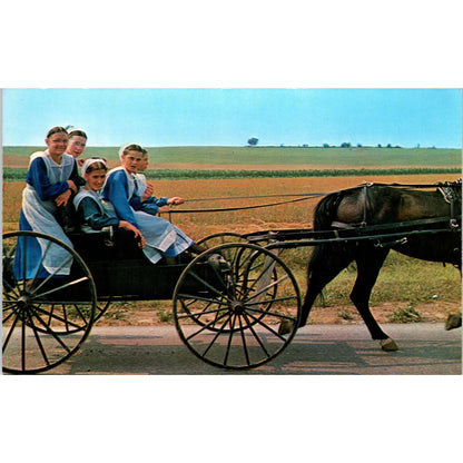 Amish Girls in Buggy After Church Meeting PA Dutch Country Vintage Postcard TG8