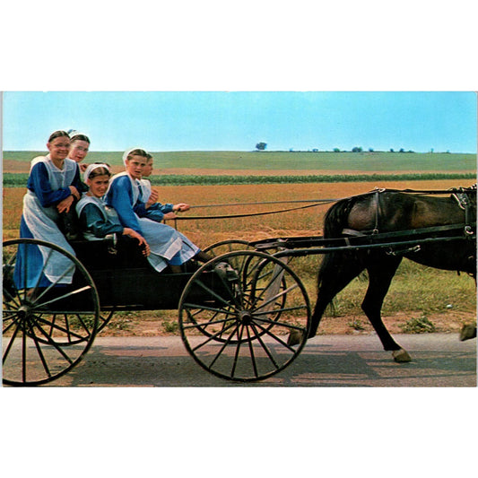 Amish Girls in Buggy After Church Meeting PA Dutch Country Vintage Postcard TG8