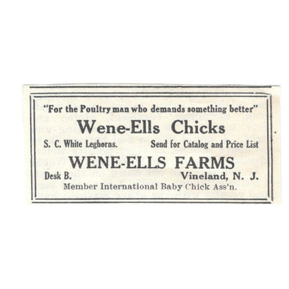 Wene-Ells Farms White Leghorns Vineland NJ 1924 Ad AG3-S4