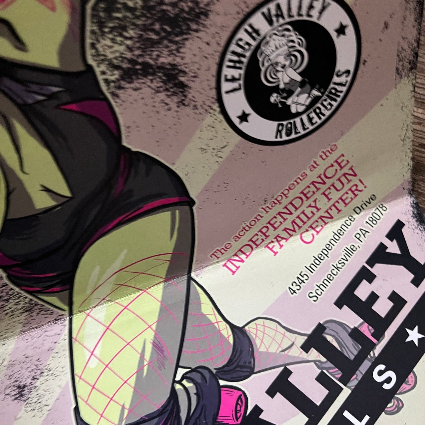 2011 Lehigh Valley Rollergirls Women's Roller Derby Poster 11x17 V7