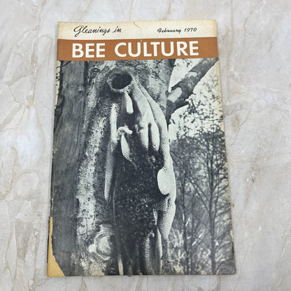 1970 Feb Gleanings in Bee Culture Magazine Bees Beekeeping Honey M8