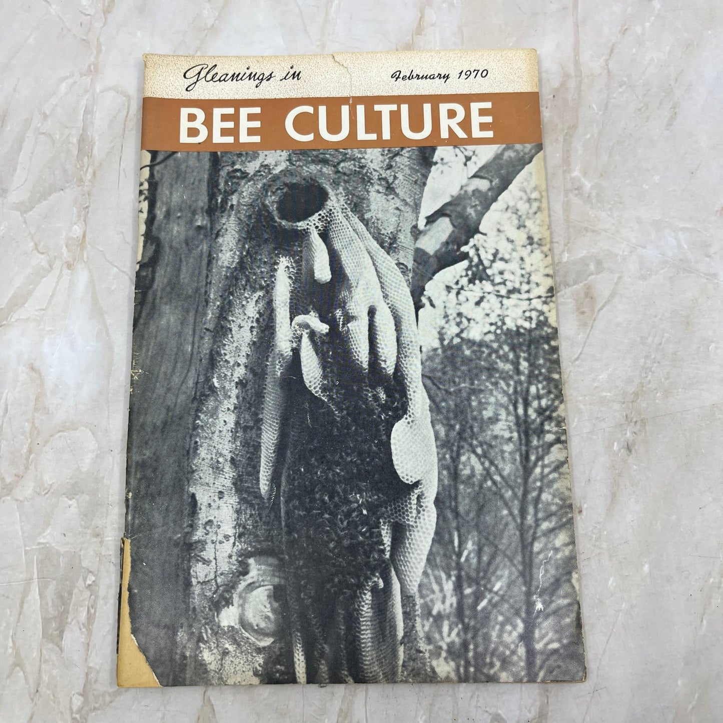 1970 Feb Gleanings in Bee Culture Magazine Bees Beekeeping Honey TD7
