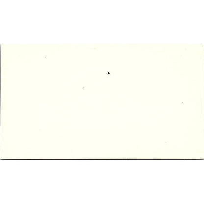 Castles for Brides Westminster CA Vintage Business Card SE5-B5