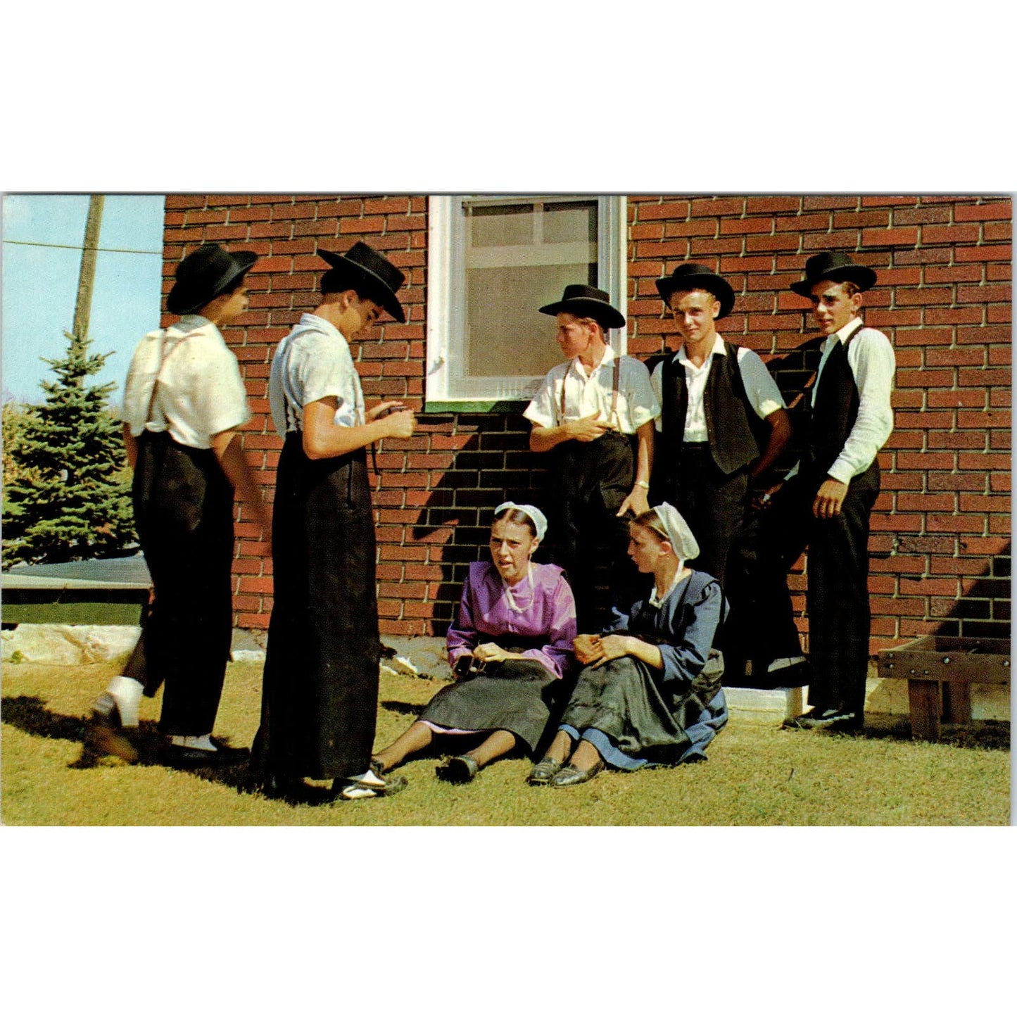 Amish Boys and Girls Conversing Pennsylvania Dutch Country Postcard PD8