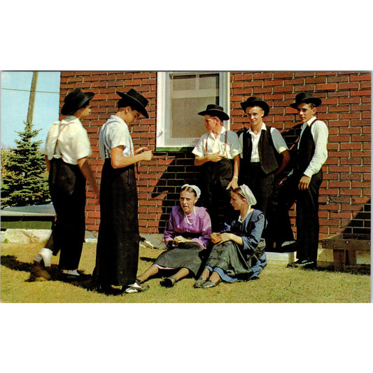 Amish Boys and Girls Conversing Pennsylvania Dutch Country Postcard PD8