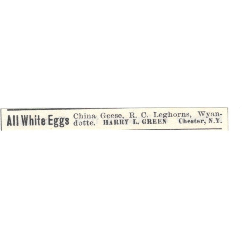 Harry L Green All White Eggs Chester NY 1924 Ad AG3-S9