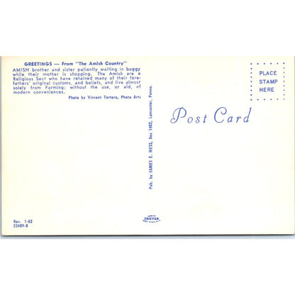 Amish Children Wait in Buggy Pennsylvania Dutch Country Vintage Postcard PD5