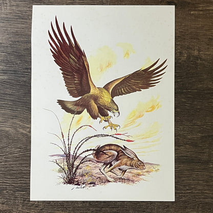 1967 Golden Eagle & Hare Large James Lockhart Lithograph 8x11 Vintage Print V2