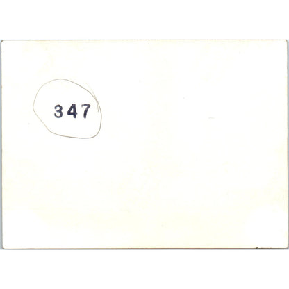 US Army Soldier Stickup Humor Photo c1954 Army Photo AF1-AP2