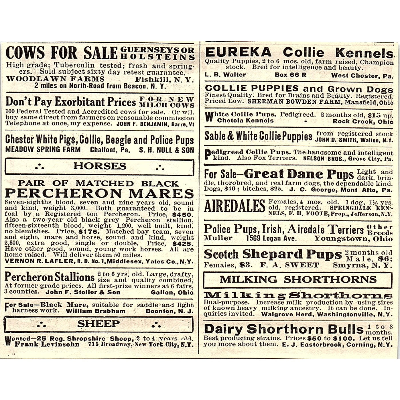 Craine Triple Wall Silos Craine Silo Co Norwich NY 1924 Ad AG3-H2