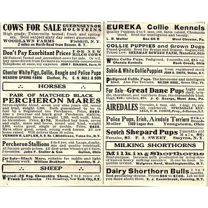 Craine Triple Wall Silos Craine Silo Co Norwich NY 1924 Ad AG3-H2