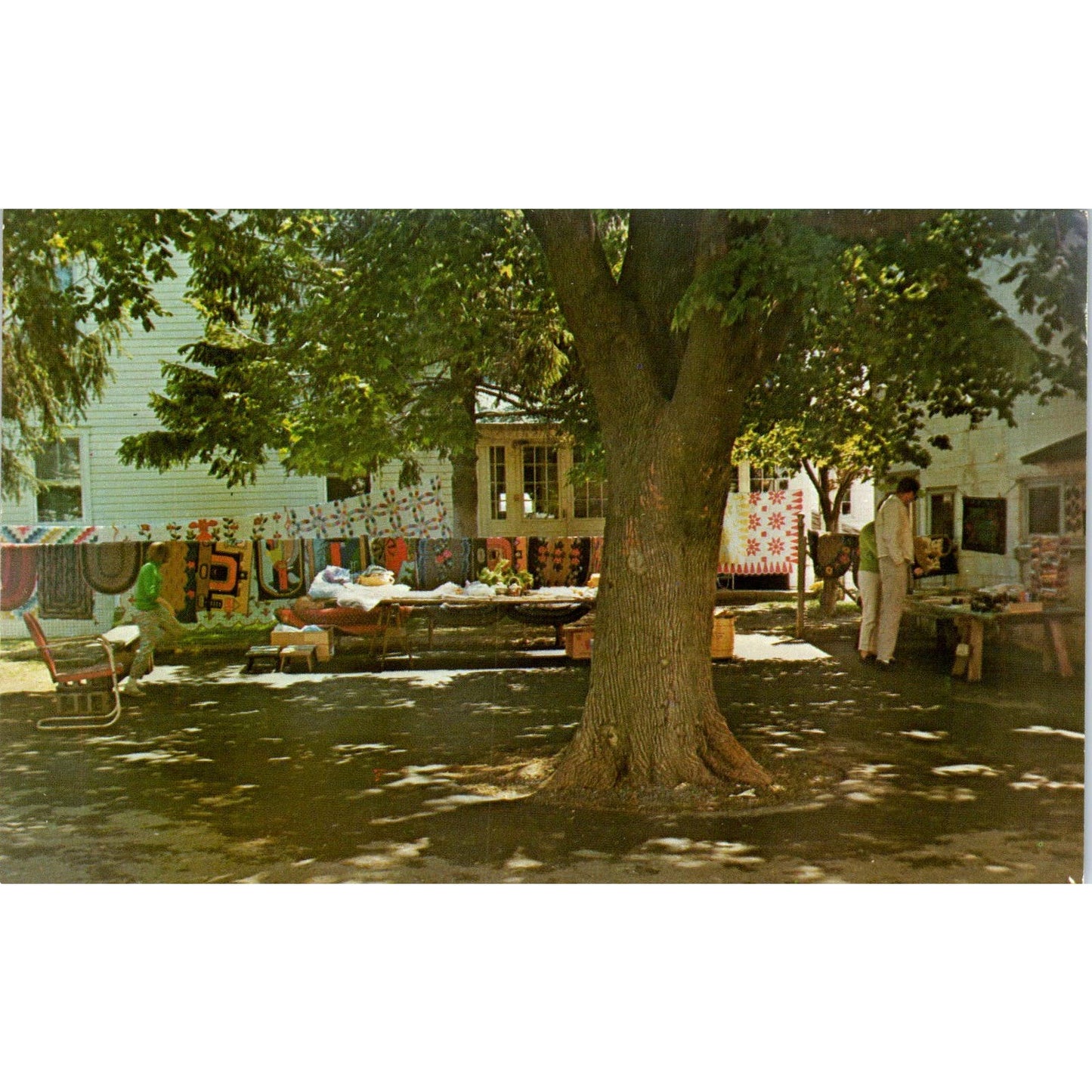 Mose B. Stoltzfoos Ice Cream Farm Pennsylvania Dutch Country Postcard PD8