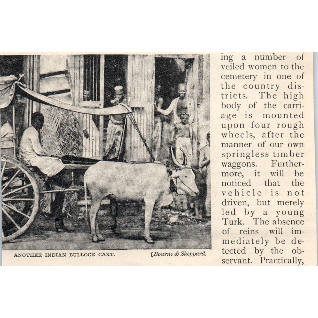 A Camel-Brougham 1897 Victorian Photo AE9-TS8