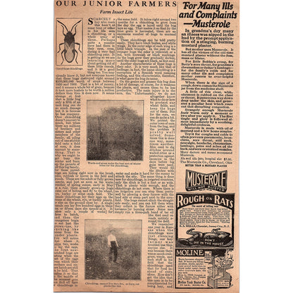 X Laboratories - X Boiler Liquid for Dirty Boilers New York 1920 Ad AG2-6