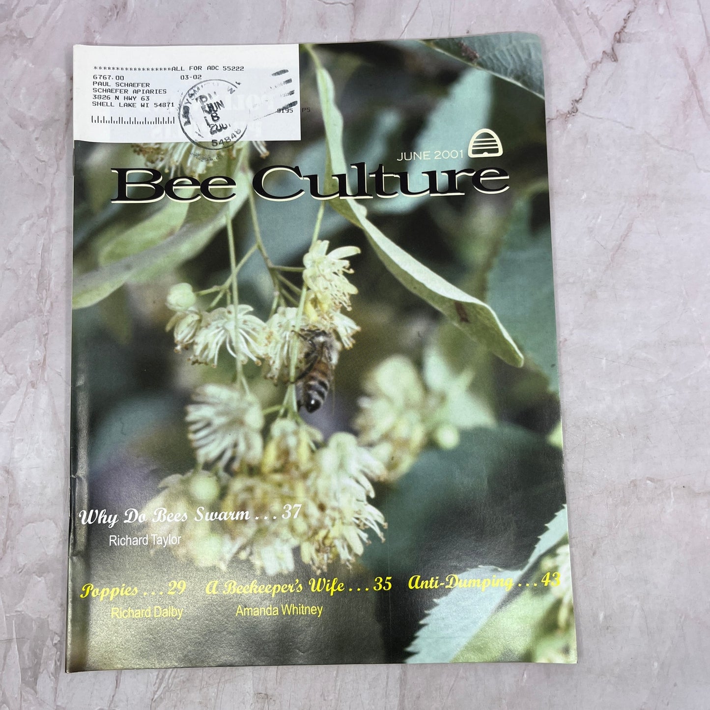 2001 June - Gleanings in Bee Culture Magazine - Bees Beekeeping Honey M32