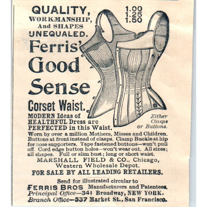 Ferris' Good Sense Corset Waist Ferris Bros New York 1894 Ad AK5-H8