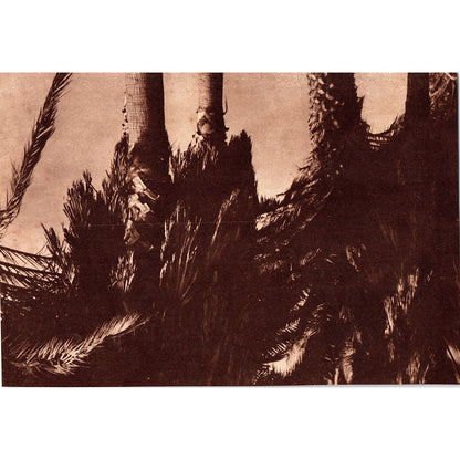 The Ravenswood, Château La Martine, The Park Lane Los Angeles CA 1940 Ad AG1-8