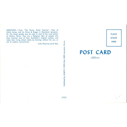 Amish Farmer Buggy in Lancaster Pennsylvania Dutch Country Vintage Postcard PD5