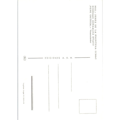 Jerez De La Frontera Cadiz Bodega Gonzales Byass Vintage Postcard PD1