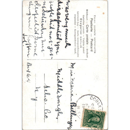 1918 Cobleskill NY, Spring House Mineral Springs NY Mica Souvenir Postcard PC8