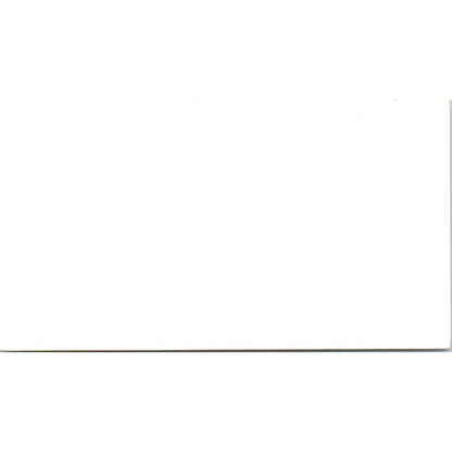 E&E Potbellied Enterprises Pigs Fresno Strathmore Business Card SD8-B21