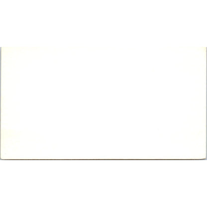 Cherokee Lodge Housekeeping Cabins June Lake CA Vintage Business Card SE3-B2