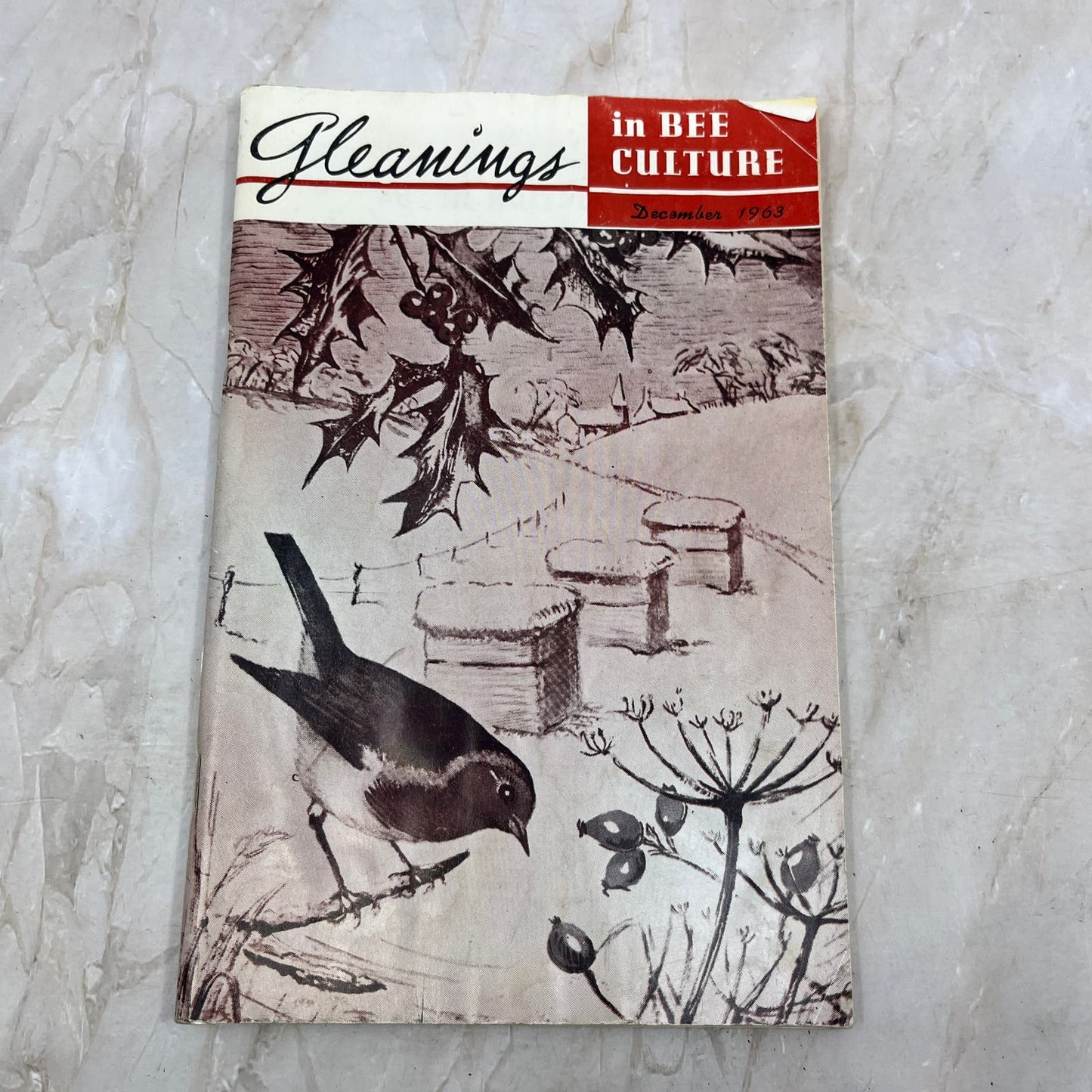 1963 Dec Gleanings in Bee Culture Magazine Bees Beekeeping Honey TD7
