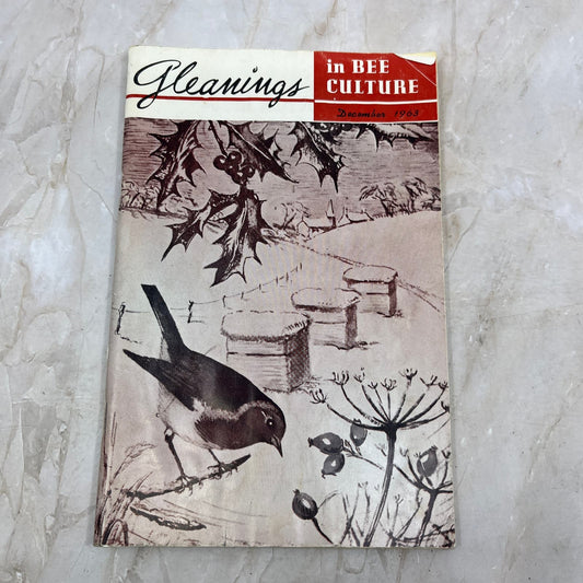 1963 Dec Gleanings in Bee Culture Magazine Bees Beekeeping Honey TD7