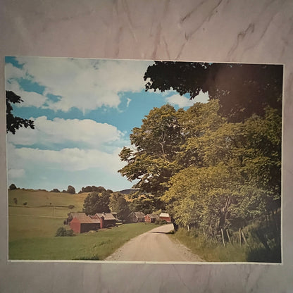 New England Country Road Farmhouse Scene 12x16" Art Print FL1