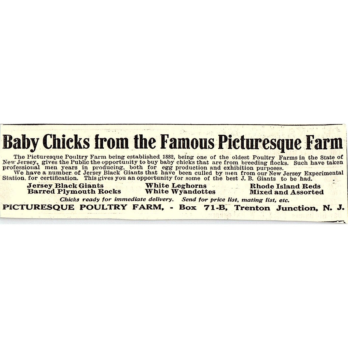 Picturesque Poultry Farm Baby Chicks Trenton Junction NJ 1924 Ad AG3-M4
