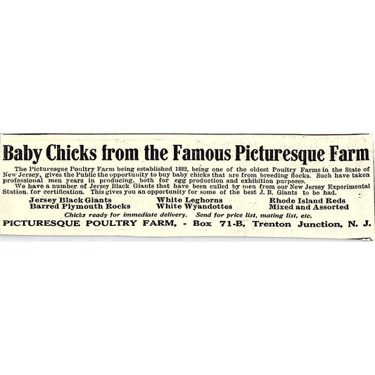 Picturesque Poultry Farm Baby Chicks Trenton Junction NJ 1924 Ad AG3-M4