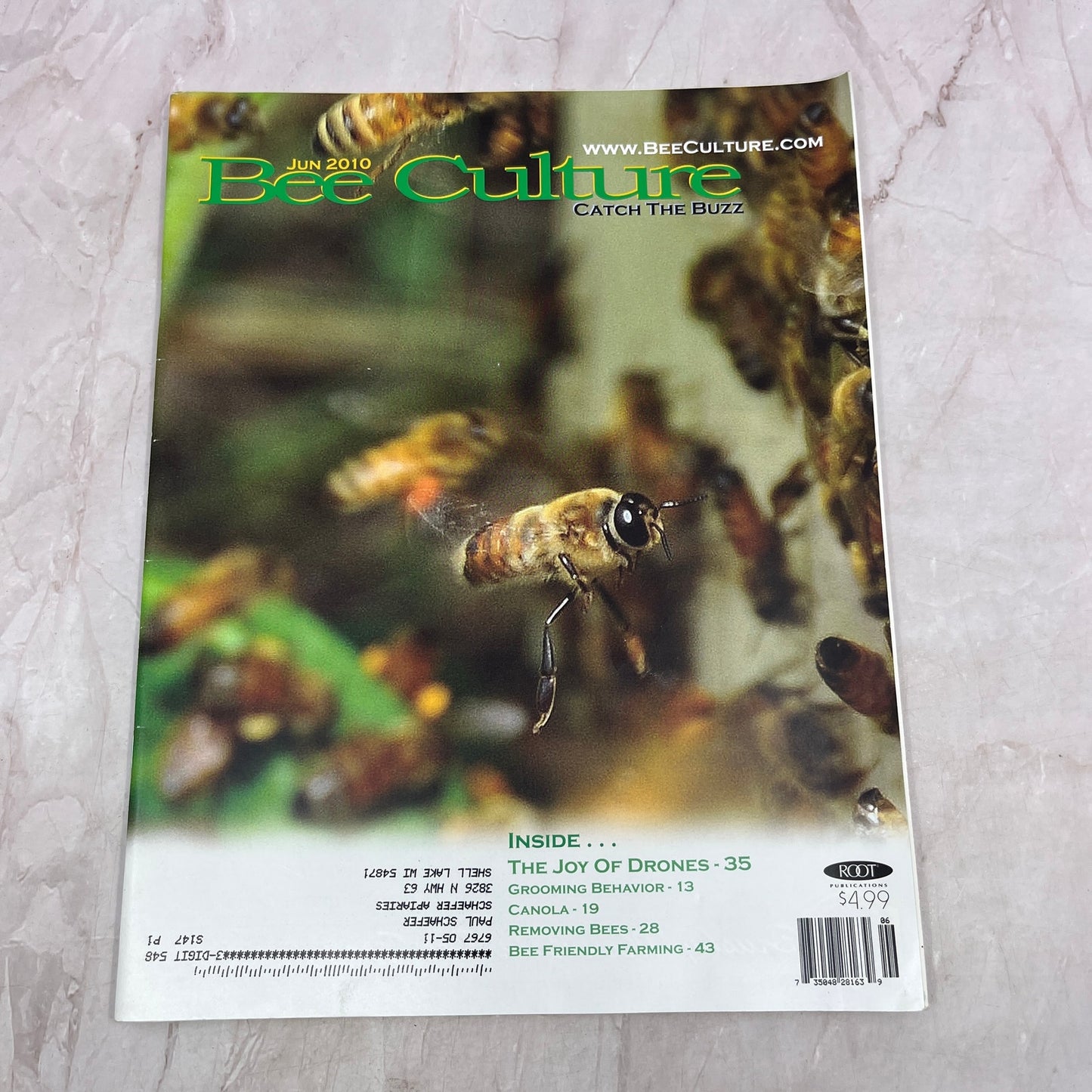 2010 June - Bee Culture Magazine - Bees Beekeeping Honey M32
